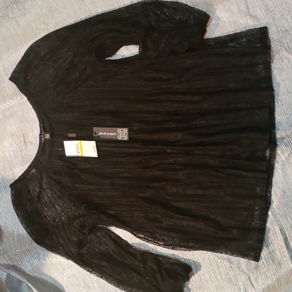 Cable & Gauge Sheer Black Lace Top with Bodice Lining